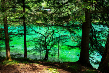 Obraz premium Detail of Green lake in Alps, Austria
