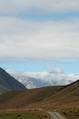 New Zealand Countryside 