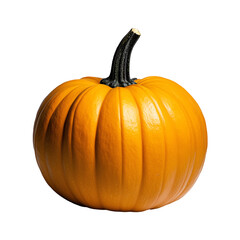 Obraz premium A ripe, orange halloween autumn pumpkin with a sturdy stem
