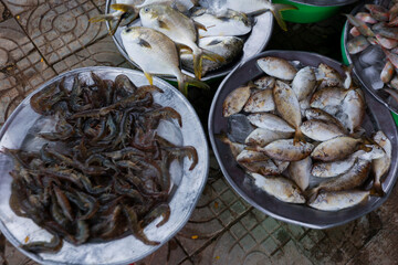 Fresh fish and seafood displayed in market trays on tiled floor