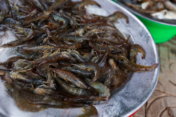 Fresh raw shrimp piled on metal tray in outdoor market setting