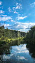 clouds over the lake and forest