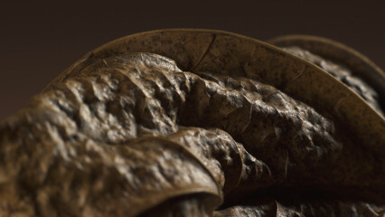 Dry maple leaf looking like strange creature. Complex texture. Macro shot.