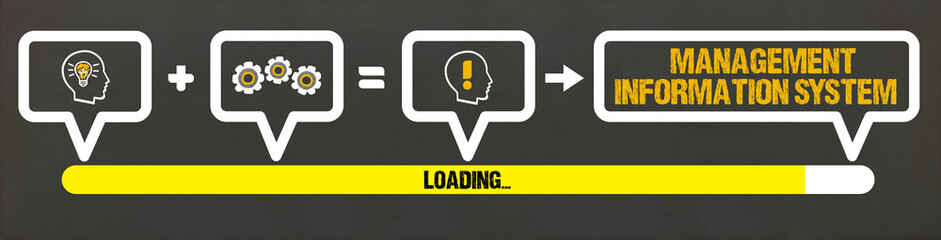 Management Information System  © magele-picture