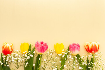 Spring background, multi-colored tulips with gypsophila on a yellow background, copy space