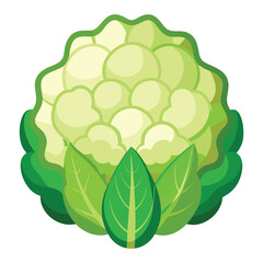 cauliflower on white background