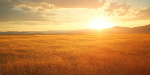 Fototapeta premium A wide-open field at sunset with the sun casting dramatic lens flare over the grass, perfect for text overlays.