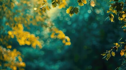 Nature Background Green. Colourful Autumn Forest Against Sky for Abstract Landscape