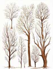 Obraz premium Watercolor dry tree branches set closeup isolated on white background. Hand painting on paper