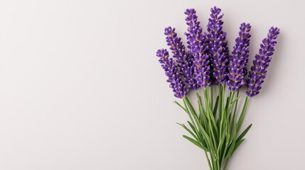Obraz premium Minimalist lavender bouquet indoor floral arrangement for serenity and calmness