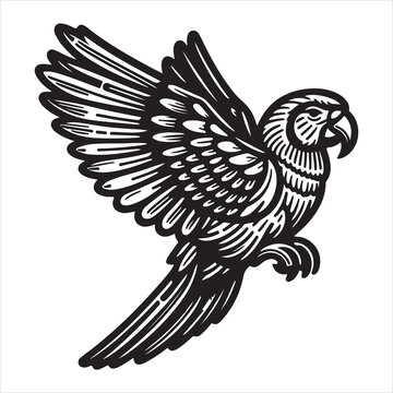 recommend clip art: White background illustration with line art of an African Grey Parrot