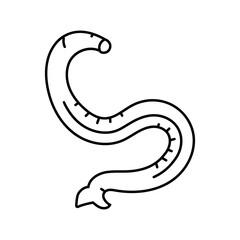 hookworm parasite line icon vector. hookworm parasite sign. isolated contour symbol black illustration