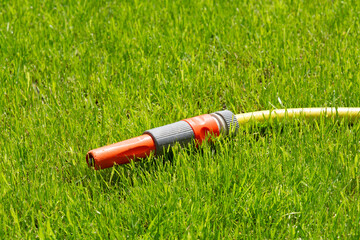 Watering hose lying on green grass. The concept of banning the use of tap water to water your own lawn. The concept of shortage of drinking water. The concept of gardening work.