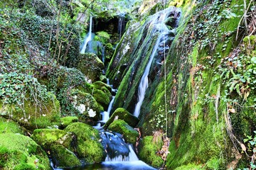 The image shows a cascading waterfall flowing over moss-covered rocks in a dense forest. The green vegetation surrounds the waterfall, creating a serene and tranquil atmosphere.