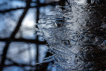 Thin ice layer is on dark water in forest, natural winter background