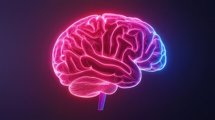 A vibrant, neon-style illustration of a brain, showcasing intricate neural pathways in pink and blue against a dark background.