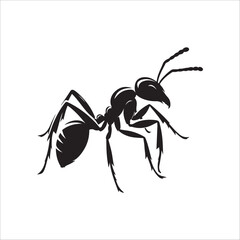 the best  ant vector  silhouette