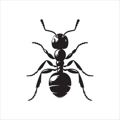 the best  ant vector  silhouette