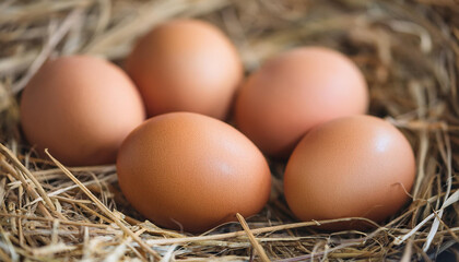 Fresh brown chicken eggs on hay. Natural farm product.