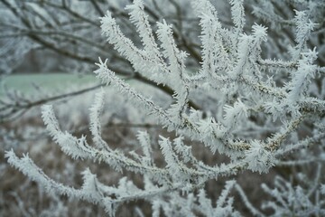 Winteridyll, Details von Frost, Frost und Nebel auf der Wiese. Landschaftsaufnahme mit Details von Gras, Bl&auml;ttern, B&auml;umen und Motiven an einem Wintermorgen. Ideal f&uuml;r Pr&auml;sentationen und Zeitungen