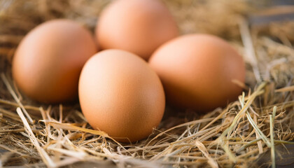 Fresh brown chicken eggs on hay. Natural farm product.