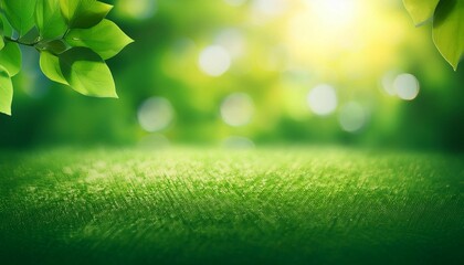 Obraz premium bokeh bright green nature background green backgrounds sunlight