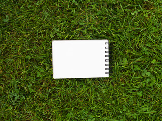 The open album lies on green grass  in the park. White sheet on lawn, free space for your design, mock up