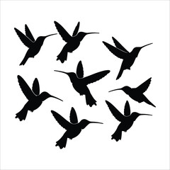 Obraz premium Silhouette of a Bird