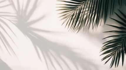 Obraz premium Palm Leaf Shadows On A Light Beige Wall