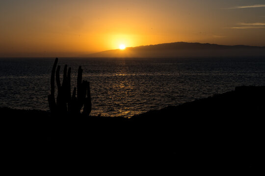 Sunset over Gomera, Canary islands, with cactus on foreground and the island in the background