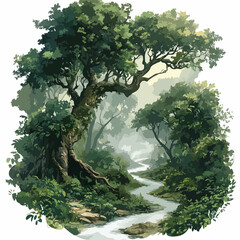 Fototapeta premium Enchanting Ancient Trees in Dense Misty Forest