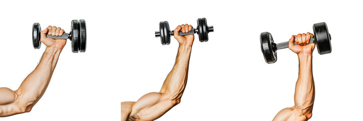 Set of powerful male arm holding a dumbbell isolated on transparent background