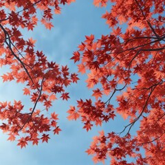 Red maple leaves scattered on a clear light blue sky with tree branches , warm tones , foliage, tree branches