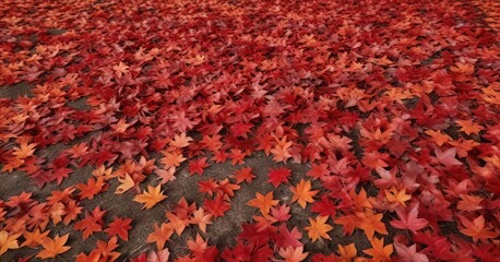 A carpet of red maple leaves covering the ground in an autumn landscape, outdoor scene, green grass