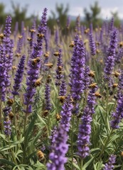 Obraz premium A swarm of yellow and black striped bees flying towards a field of purple lavender blooms, pollination, natural habitats, insect flight