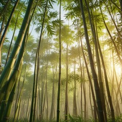 Obraz premium Bamboo stalks swaying in the gentle breeze under bright sunlight, sunlight filtering, sunbeams