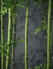 Obraz premium Bamboo stem with green leaves and stalk details , plant detail, plant anatomy