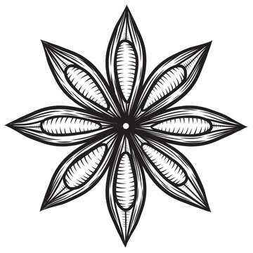 recommend clip art: Title	
                    Star anise spice vector hand drawn illustration in sketch style. Shaded black and white drawing for packaging and design. Line art of aromatic plant