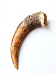 Naklejka premium Wild Antelope Horn on Pure White Background - Isolated Nature Showcase