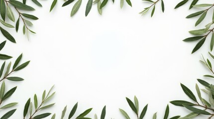 Fototapeta premium A photo of a frame of olive tree branches and leaves with copy space, shot from above on a white background with a place for text, organic banner