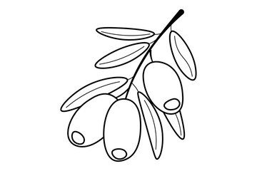 Doodle illustration of a branch with olives
