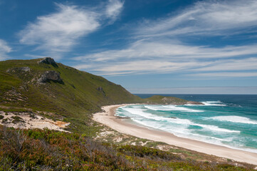Wild greenery on the coastline of Western Australia, featuring dense shrubs, rolling hills, and a bright blue sky and ocean. A pristine landscape perfect for nature and wildlife enthusiasts.