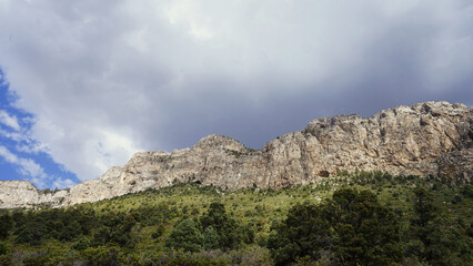Lee Canyon Summer Home Area in Nevada