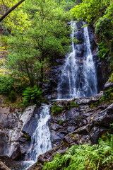 A cascading waterfall surrounded by lush greenery, with a small pool at the base