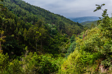A breathtaking view of a lush, green valley surrounded by rolling hills and dense forests