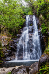Fototapeta premium A cascading waterfall surrounded by lush greenery, with a small pool at the base