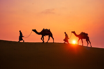 Fototapeta premium Indian cameleers camel drivers bedouin with camel silhouettes in sand dunes of Thar desert on sunset. Caravan in Rajasthan travel tourism background safari adventure. Jaisalmer, Rajasthan, India