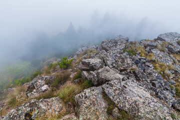 A misty, dramatic landscape of a rocky clifftop, with a dense fog obscuring the view beyond