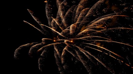 Fireworks background holidays concept.