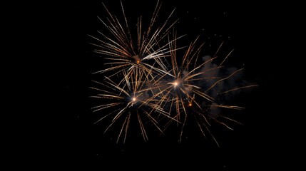 Obraz premium Fireworks background holidays concept.
